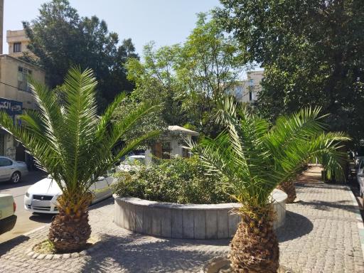 عکس پارک گل ناز