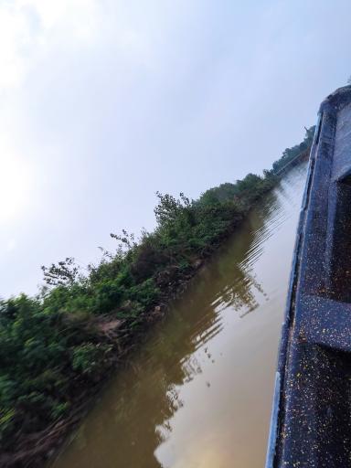 عکس تالاب نیلوفر انزلی