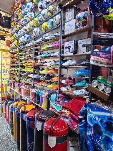 عکس لوازم ورزشی آریا