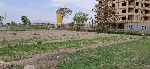 عکس باغ سبزی رضایی 