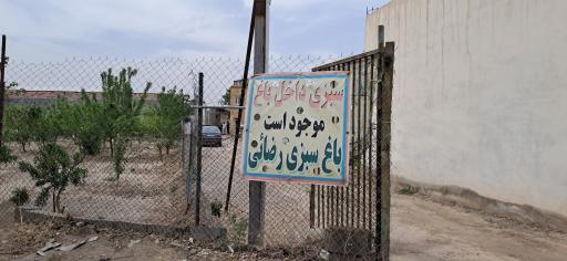 عکس باغ سبزی رضایی 