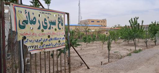 عکس باغ سبزی رضایی 