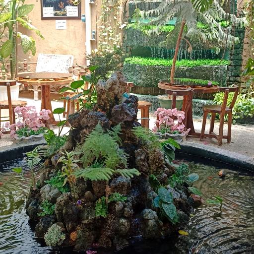 عکس بستنی فروشی 40/30