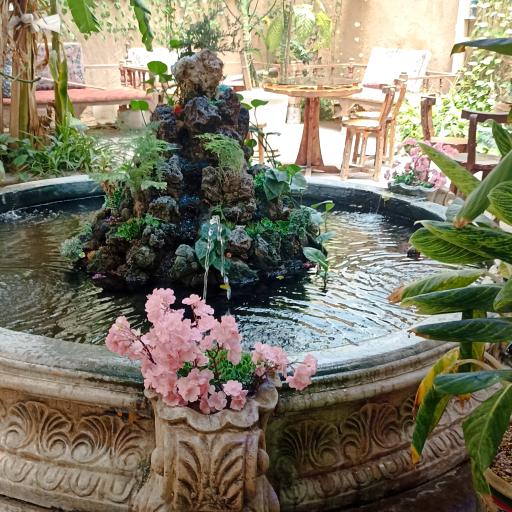 عکس بستنی فروشی 40/30