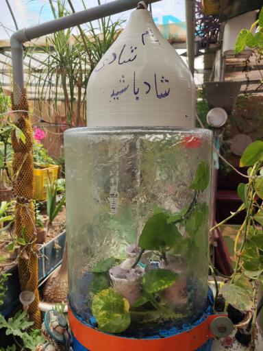 عکس بام شادی