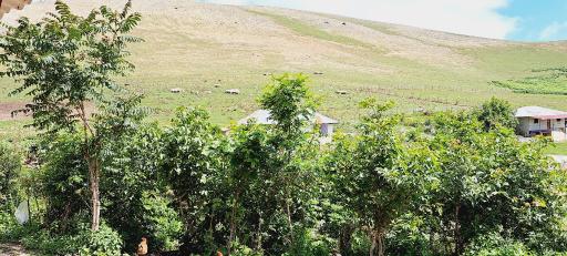 عکس مجموعه بومگردی زحمتکش