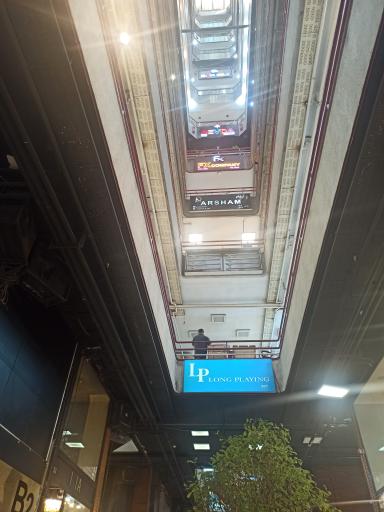 عکس یاشارجین