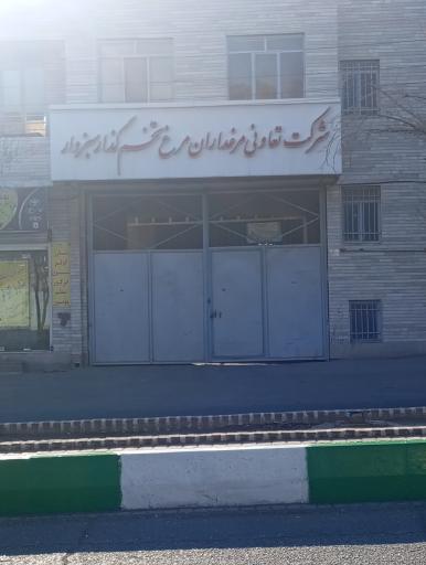 عکس شرکت تعاونی مرغداران مرغ تخم گذار سبزوار 