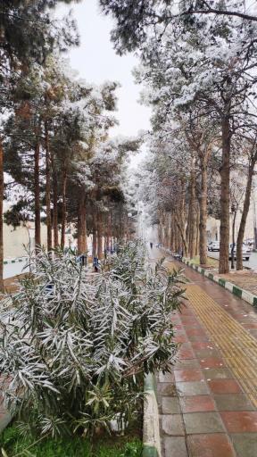 عکس بوستان چهار باغ