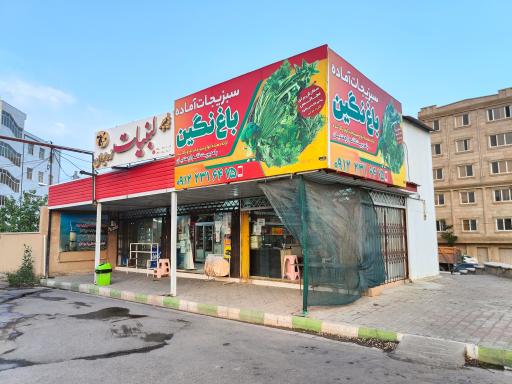 عکس سبزیجات باغ نگین