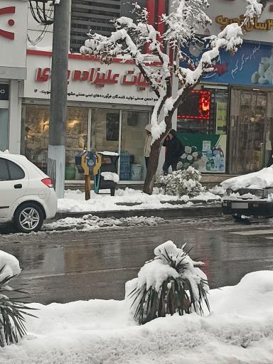 عکس لبنیات علیزاده یزدی