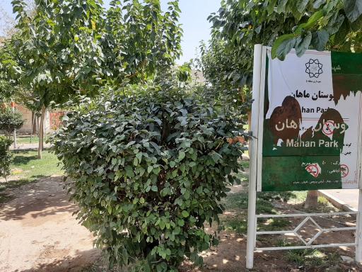 عکس بوستان ماهان