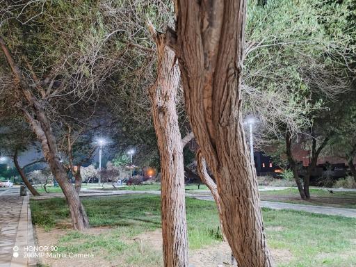 عکس پارک خطی