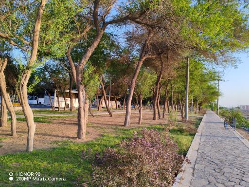 عکس پارک خطی