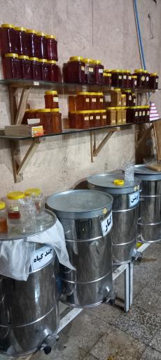 عکس تولید عسل طبیعی گلهای ظهور