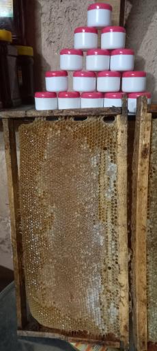 عکس تولید عسل طبیعی گلهای ظهور