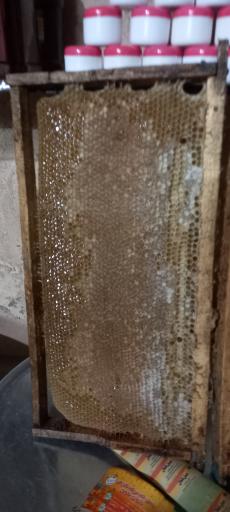 عکس تولید عسل طبیعی گلهای ظهور