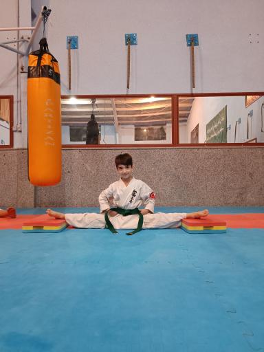 عکس آکادمی ورزشی کیوکوشین کاراته ملانوروزی
