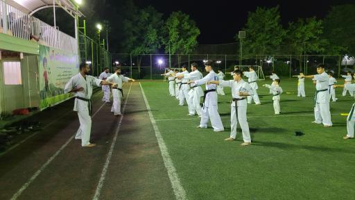 عکس آکادمی ورزشی کیوکوشین کاراته ملانوروزی