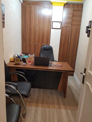 بیمه ایران نمایندگی امیری