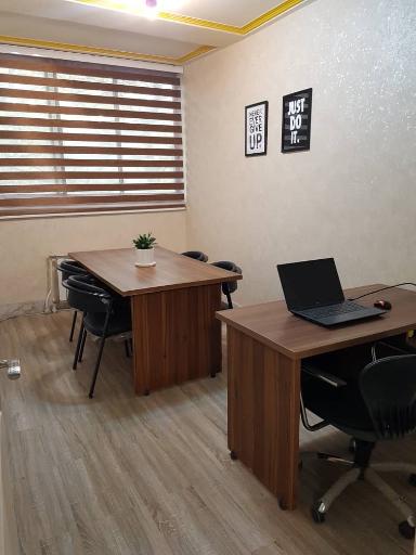 بیمه ایران نمایندگی امیری