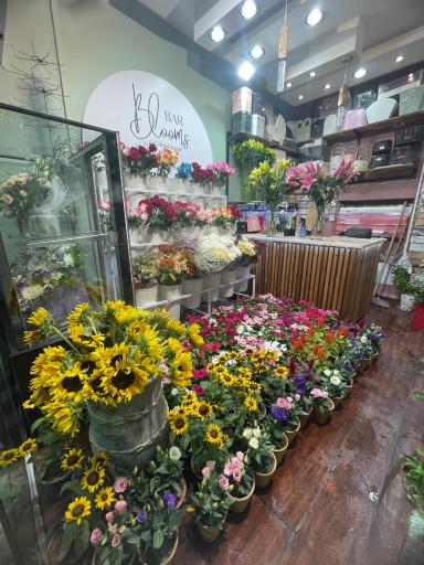 عکس کافه گل