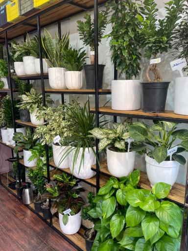 عکس کافه گل