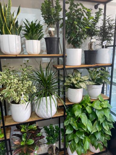 عکس کافه گل