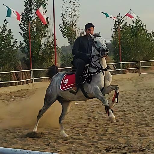 عکس باشگاه سوارکاری نیله سوار