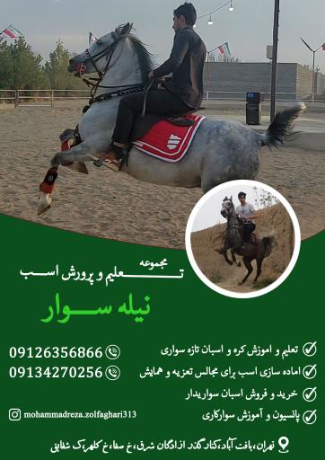 عکس باشگاه سوارکاری نیله سوار