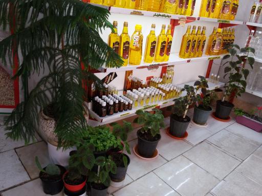 عکس فروشگاه ارگانیک آرمان سلامت