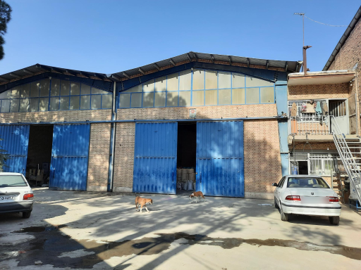 عکس شمشاد پلاستیک