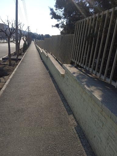 عکس دبستان حاج سید احمد خمینی (ره)