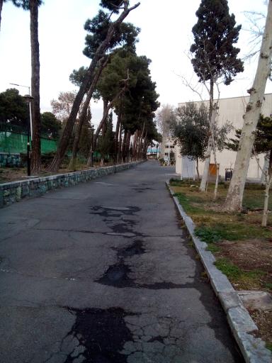 عکس سازمان نقشه برداری کشور