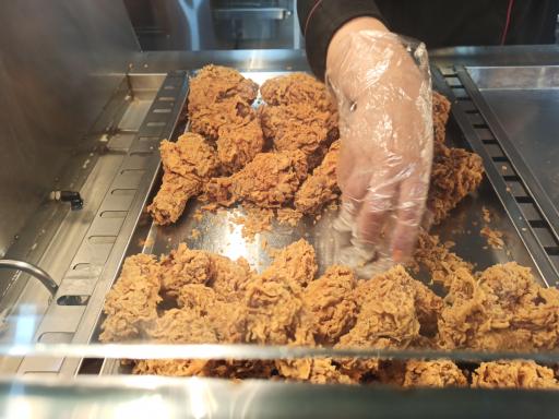 عکس پیتزا و سوخاری ژین