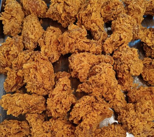 عکس پیتزا و سوخاری ژین