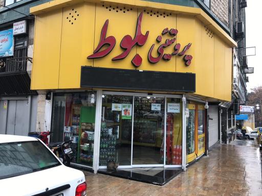 عکس پروتئینی بلوط