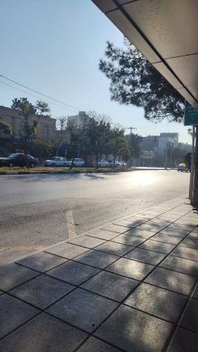 عکس دانشگاه آزاد