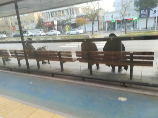 عکس دانشگاه آزاد