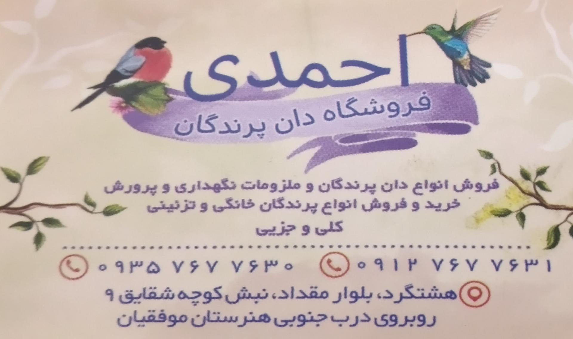 عکس پرنده فروشی احمدی