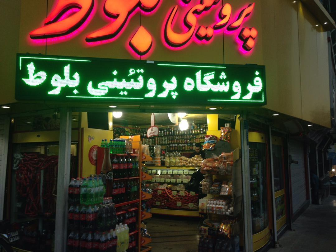 عکس پروتئینی بلوط