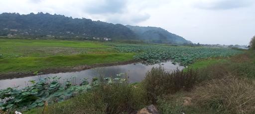 عکس استخر بزرگ کومله