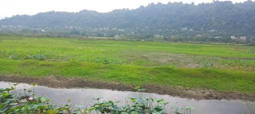 عکس استخر بزرگ کومله