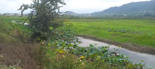 عکس استخر بزرگ کومله