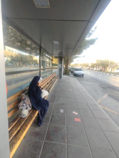 عکس دانشگاه آزاد