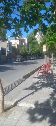 عکس  بهاران 4