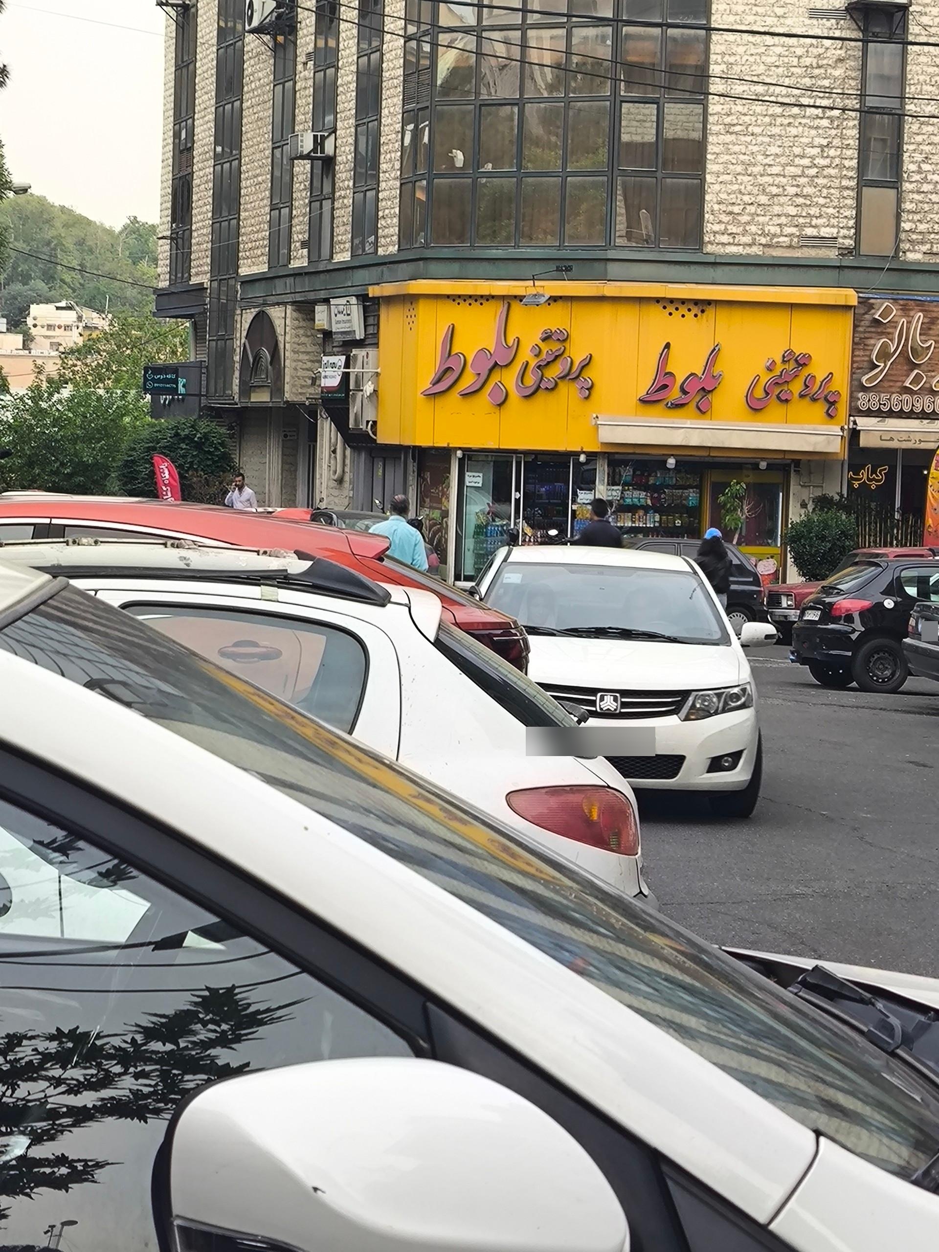 عکس پروتئینی بلوط