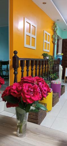 عکس مهد و پیش دبستانی پادهانیس