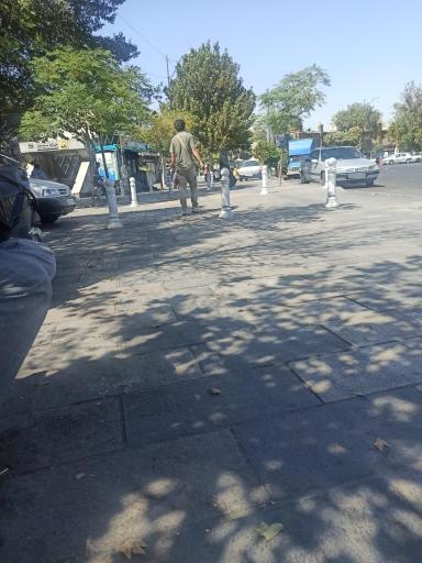 عکس م محمدیه