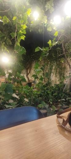 عکس کافه رستوران عمارت ساسانیان